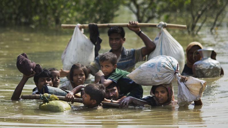 No roads leading home: Myanmar govt to harvest fields abandoned by Rohingyas