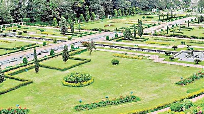 A view of the Brindavan Gardens