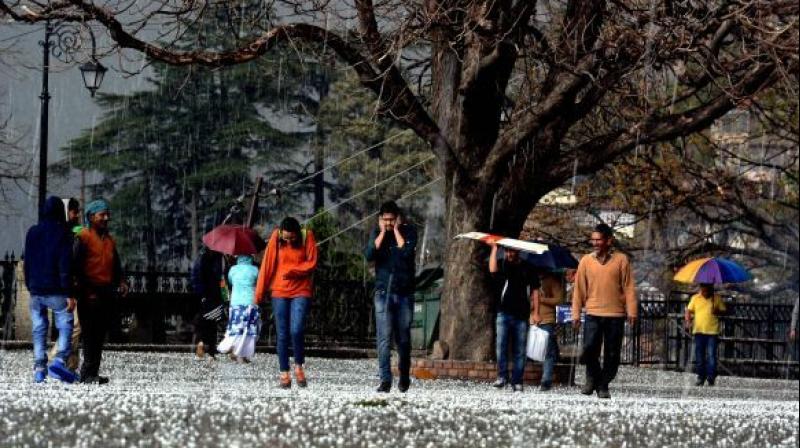 The severe hailstorm near Moradabad in Uttar Pradesh killed 246 people. (Photo: AP/Representational)