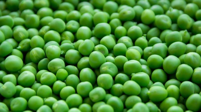 Protein found in peas could be causing damage to our bodies. (Photo: Pexels)