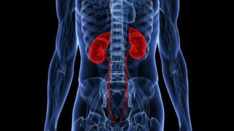 The number of kidney transplanted patients has grown significantly in the country. The link between the two is one that many are unaware of.