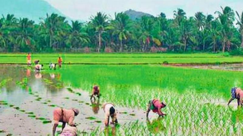 Farmers are engaged in cultivation against many odds. Central government has not fixed a remunerative price for their produce. They can get a minimum price only in government procurement centres. If that were closed they will fall prey to brokers and private parties.