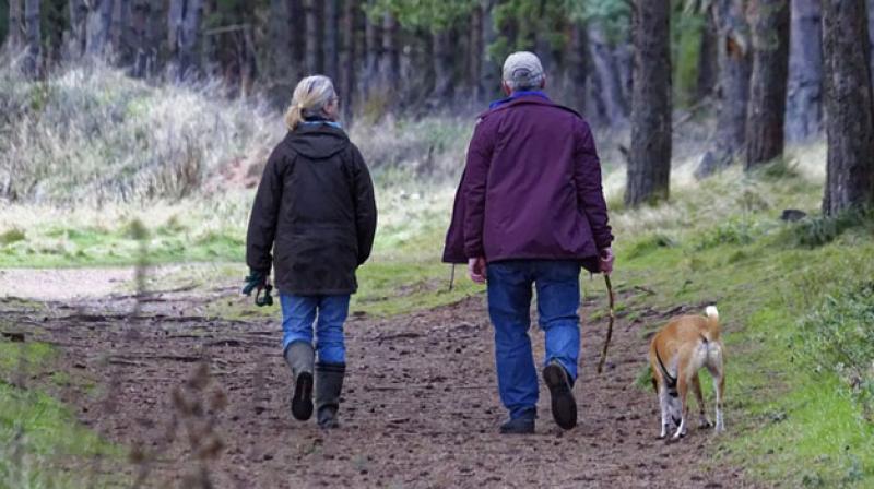 Walking after meals is better at reducing blood sugar levels than taking a single 30 minute walk at any time of the day. (Photo: Pixabay)