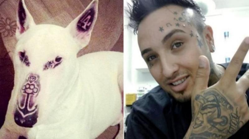 Tattoo artist comes under fire for tattooing his dog