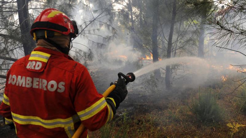 A Portuguese firefighter works to stop a forest fire from reaching the village of Figueiro dos Vinhos central Portugal (Photo: AP)