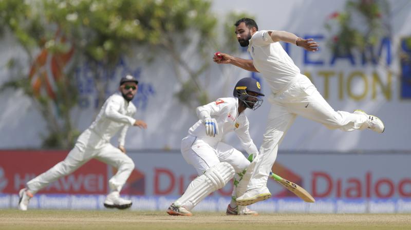 Mohammed Shami seems to be back in full swing. (Photo: PTI)