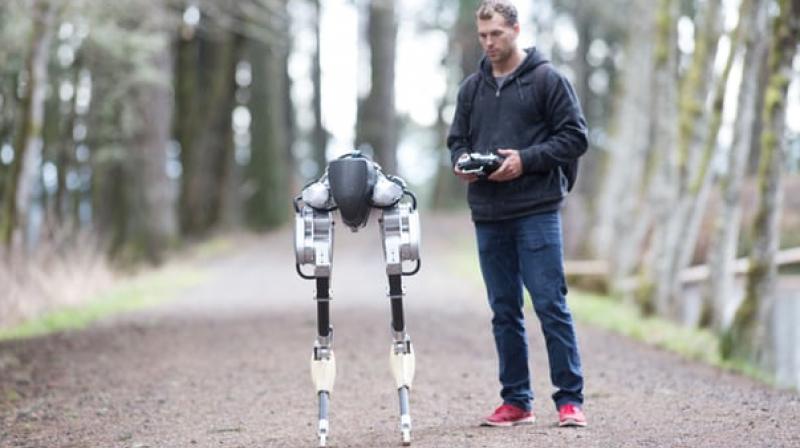 Oregon-based Agility Robotics has developed a walking robot that does all the human chores.