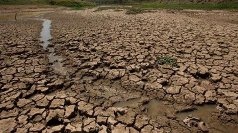 The native district of Chief Minister N. Chandrababu Naidu has incurred huge crop loss due to lack of rains in the kharif season. (Representational image)