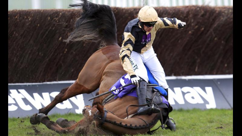 Cheltenham Festival sees Britains equestrian best take to tracks