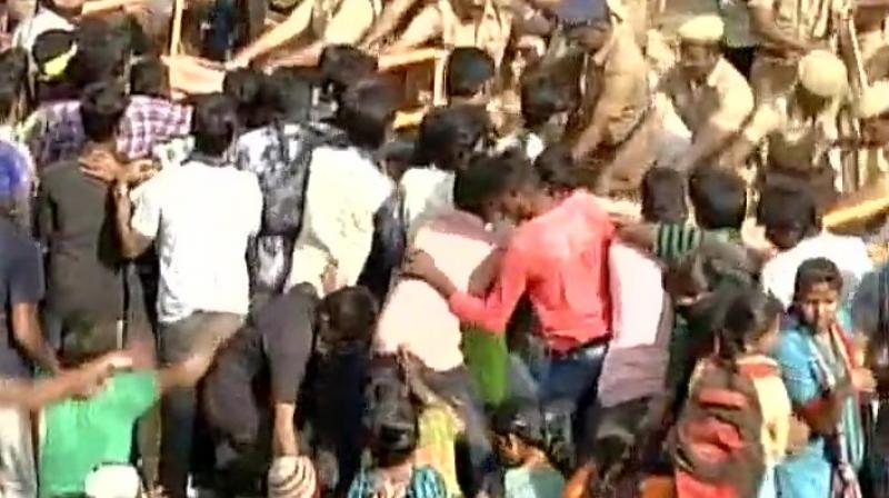 Pro-Jallikattu supporters being forcefully evicted by police. (Photo: ANI Twitter)