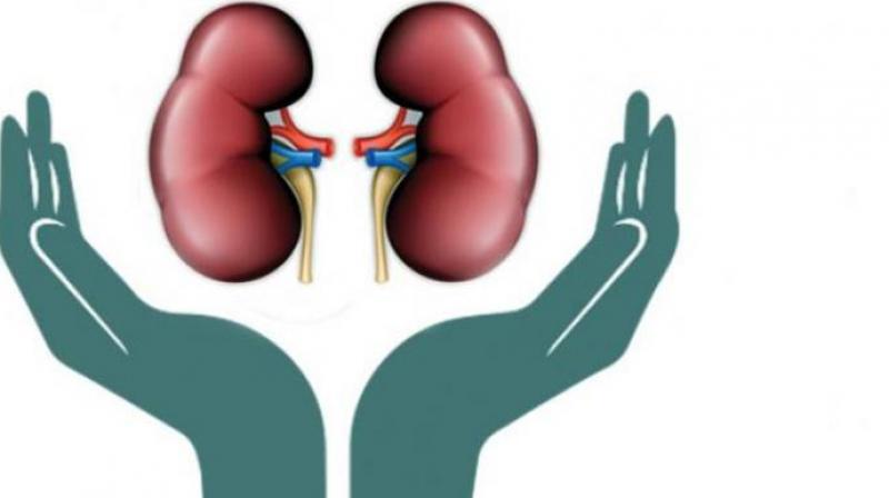 In live transplantation of the kidney the success rate is around 80 to 90 per cent, but in heart, lungs and pancreas transplants, the success rate is around 50 per cent, the doctor added.  (Representational image)