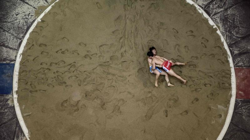 Korea open ssireum festival in Andong