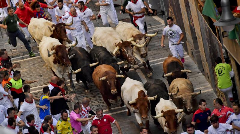 Running of the Bulls at the San Fermin Festival