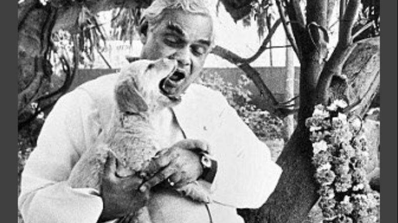 Vajpayee having light moments with a dog.