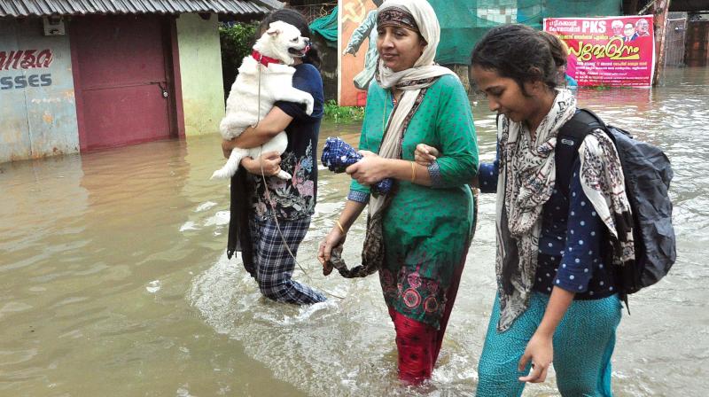 A family wades through water leaving their inundated house with their pet dog to relief camp.