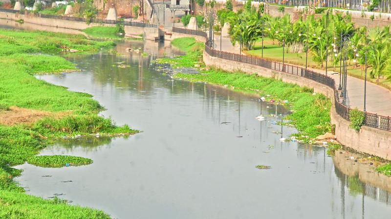 A file picture of Musi river under GHMC limits.