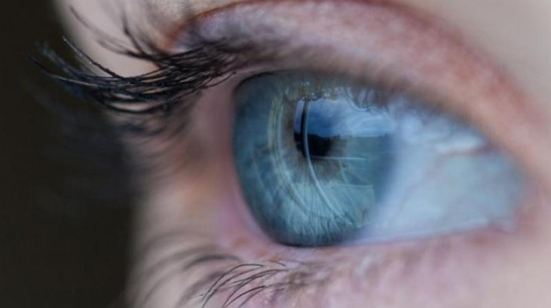 Retinal diseases such as age-related macular degeneration (AMD) and diabetic macular edema (DME) are increasing at a rapid pace in the country.   (Representational Image)