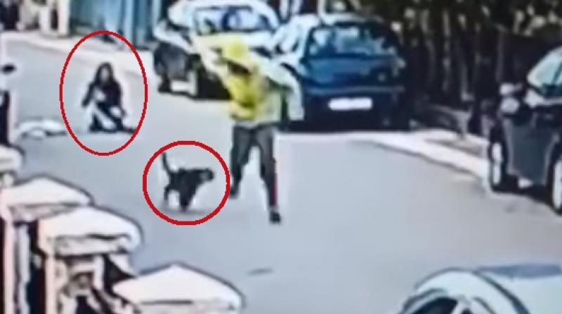 The robber abandoned his plan and was chased away (Photo: YouTube)
