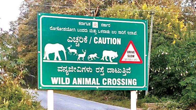 The Nagarahole Park officials had asked for road humps on the Hunsur-Gonnikoppa highway after a bus ran over an Indian Bison on it in June 2015.