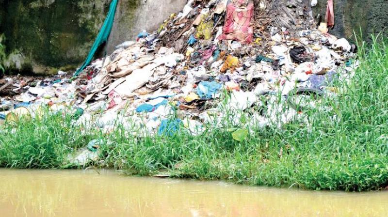 Volunteers will also be trained to document the amount of solid waste in the river, as well as the liquid waste which lands in the river.