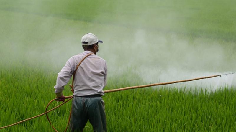 The findings suggest it makes sense for people to be cautious about biocide and pesticide exposure, researchers conclude. (Photo: Pixabay)