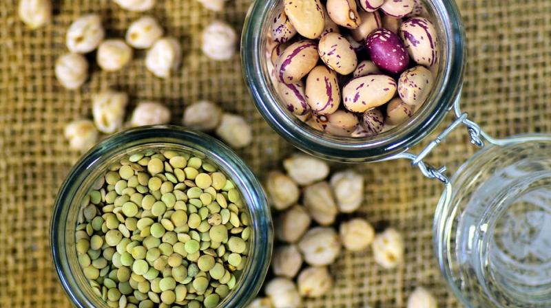 Legumes are a food group rich in B vitamins, contain different beneficial minerals (calcium, potassium and magnesium) and sizeable amounts of fibre. (Photo: Pixabay)