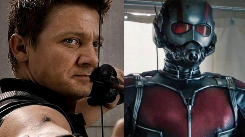 Hawkye not a part of Antman and Wasp, confirms director
