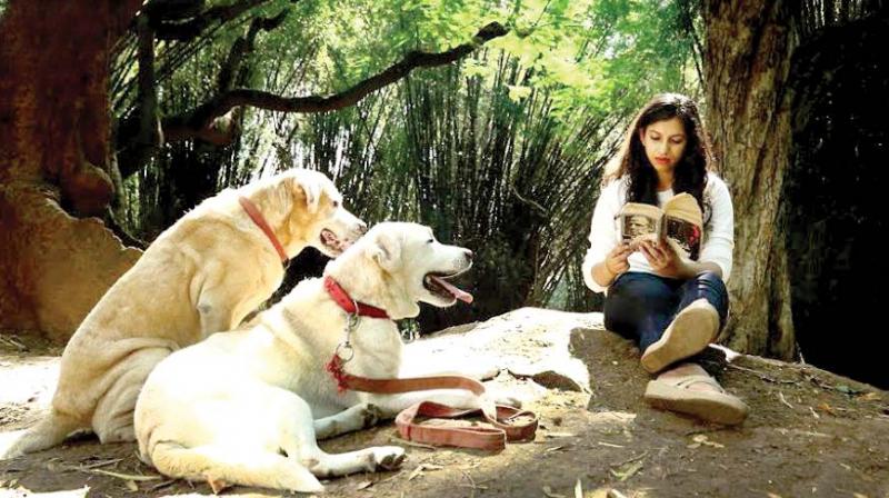 A file photograph of dog lover Gayathri Naveen who participates in many pooch-related activities in the city
