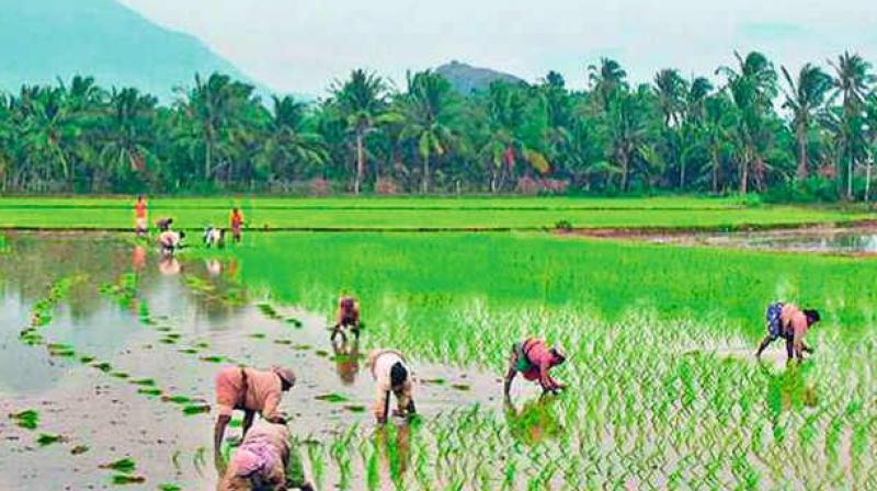 The governments new scheme for farmers offering a subsidy of Rs 4,000 per acre from next year has already started creating a rift between the tenant farmer and the land owner.