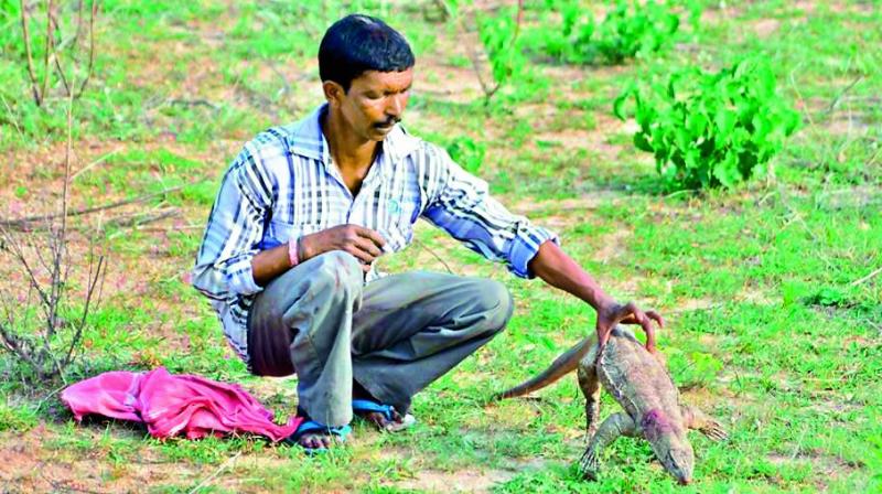 A file image of Poacher Ashok, who had trained dogs to hunt lizards in packs at the vast UoH campus. He is suspected to have been killed by wild boars during one of his hunting raids. (Photo: DC)