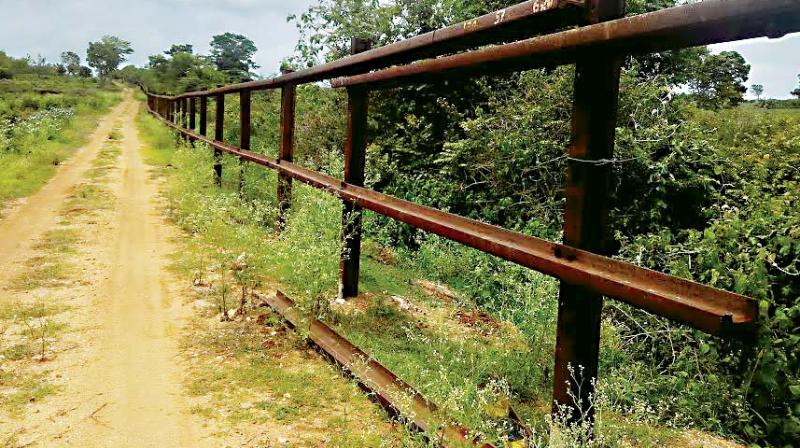 The rail fences where forest officials will attach chain mesh to stop smaller animals