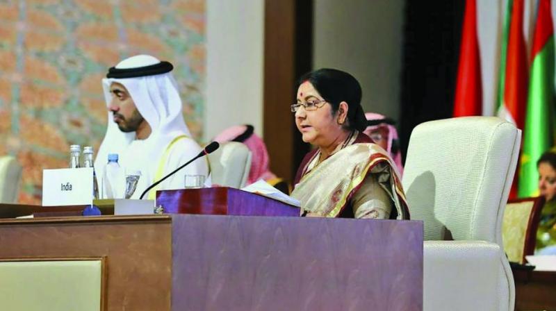 External affairs minister Sushma Swaraj addresses as  guest of honour  at the 46th foreign ministers meeting of Organisation of Islamic Cooperation in Abu Dhabi on Friday. (Photo: PTI)