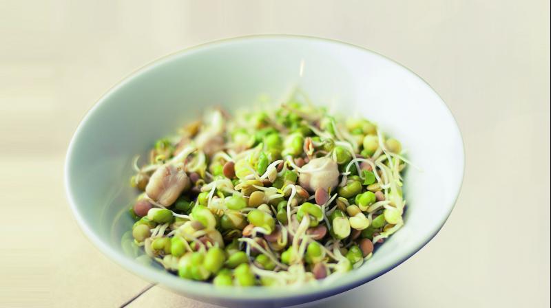 The enzymes from sprouts can easily replace these. So once your digestive system gains strength, you automatically start losing that extra weight.