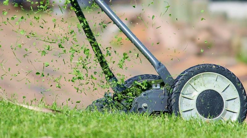 The police are investigating her death and it isnt clear who was responsible for the maintenance of the mower (Photo: Pixabay)