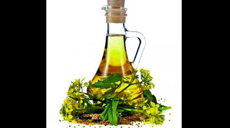 This pungent tasting oil is consumed round the year, however in a lot of regions, the consumption goes up during winter.