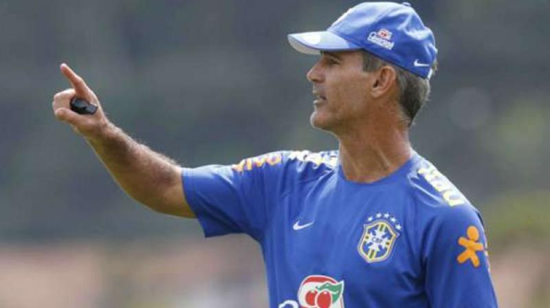Brazil coach Carlos Amadeu