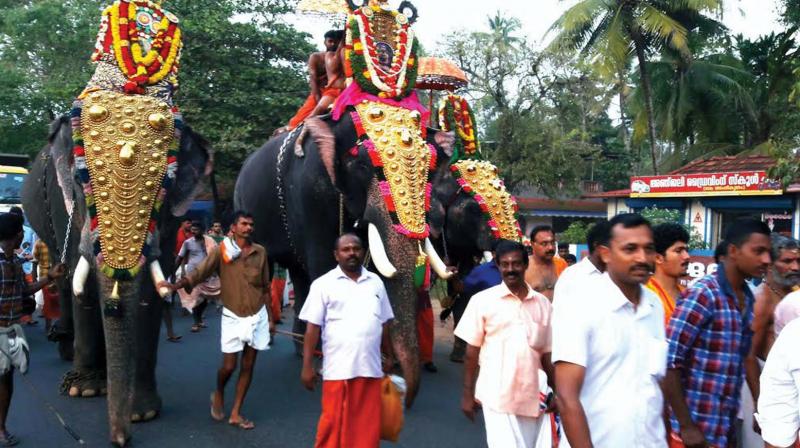 Elephants being paraded on Thursday as part of Avavrathasnana Goshayathra of Saptaha Yajnam at Golok Ashram at Karuvata near Haripad. (Photo: DC)