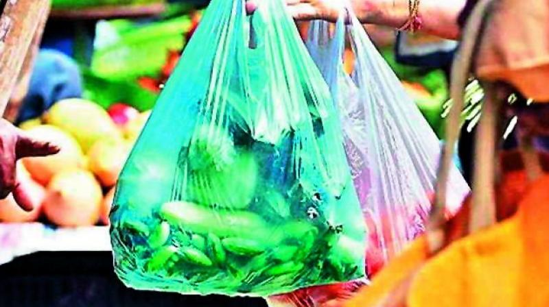 The court said that the economic and political power of plastic manufacturers and distributors might be high, but the government has to rule and further it said that plastic is a great menace to the environment and the government needs to take steps.