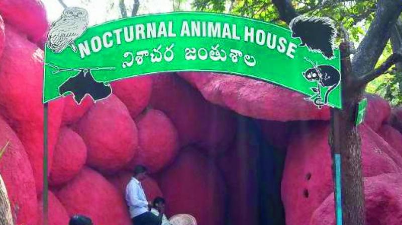 A view of the Nocturnal centre at the Nehru Zoological Park. The centre was started 30 years ago.