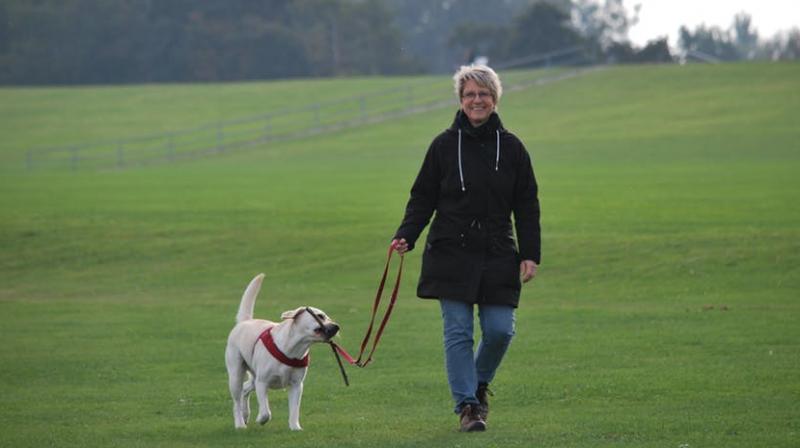 Dog walkers motivated by happiness, study finds. (Photo: Pexels)