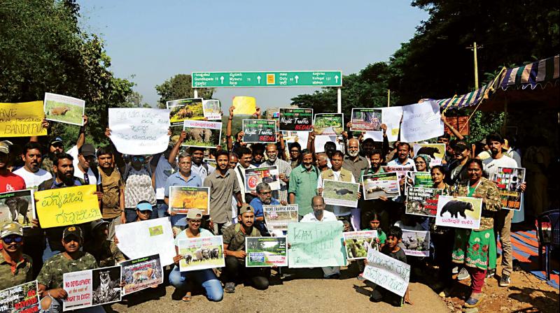 Environmentalists protest against proposed elevated road in the tiger reserve in Bandipur near Mysuru on Saturday  (Photo:KPN)