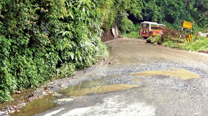 Water  stagnates in the potholes in the Katteri sector of Ooty-Coimbatore NH. (Photo:DC)