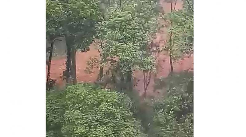 Ambayathod near Kottiyur in Kannur where landslide occurred on Thursday. (Image Dc)