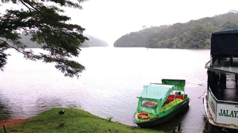 Mullaperiyar dam at its brim. A scene from Thekkady boat landing. (Image Dc)