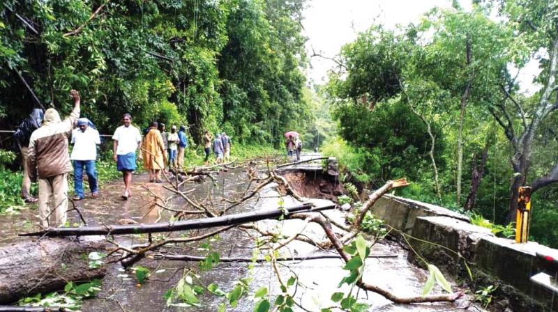 Traffic in the Kottayam  Kumarakom, Vaikom  Thalayolaparampu, Pala  Erattupetta, Changanacherry  Alappuzha MC road were disrupted owing to the floods.