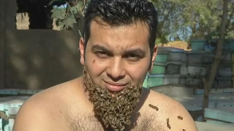 Mohamed Hagras uses the \Beard of Bees\ at contests and exhibitions where like-minded people try to break world records. (Credit: YouTube)