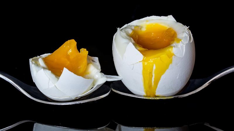 Consuming egg yolks during pregnancy can help improve babys brain power. (Photo: Pixabay)