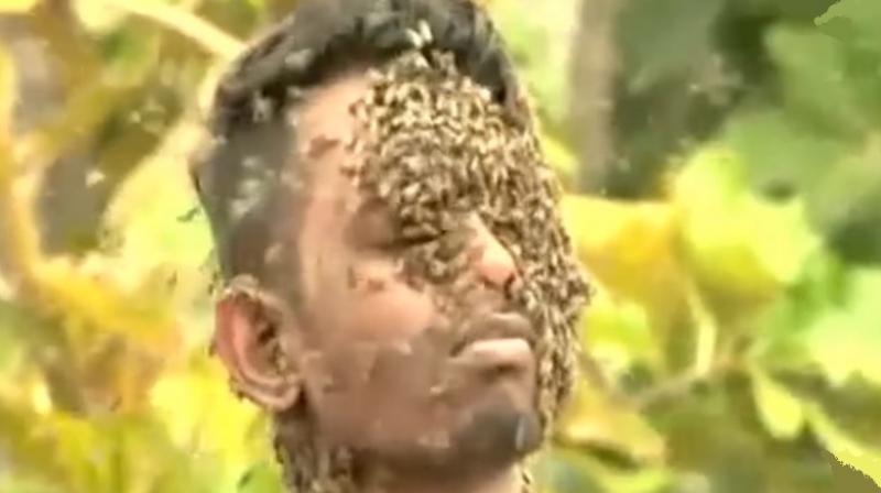 He is the son of an award winning beekeeper (Photo: YouTube)