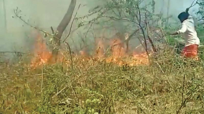 A local tries to put out the forest fire in Sembakkam. (Photo: DC)