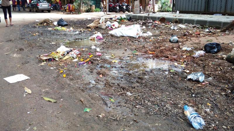 The stretch around the Lake Road has turned into a garbage dump and residents have to bear with foul smell throughout the day